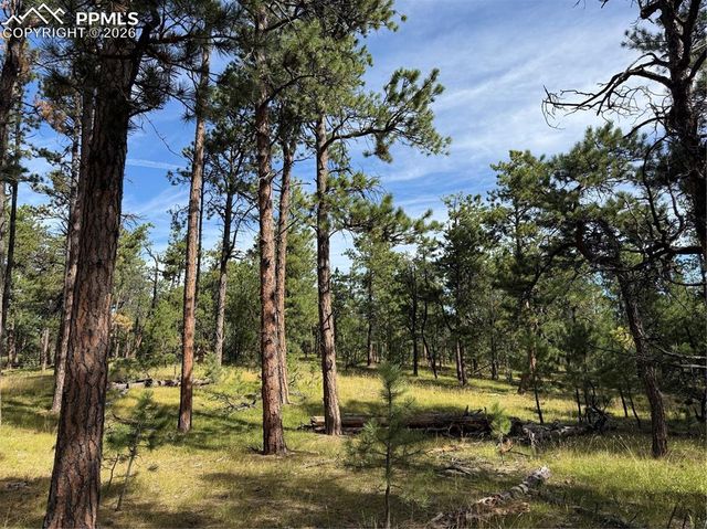 17405 E Goshawk Road, Colorado Springs, CO 80908