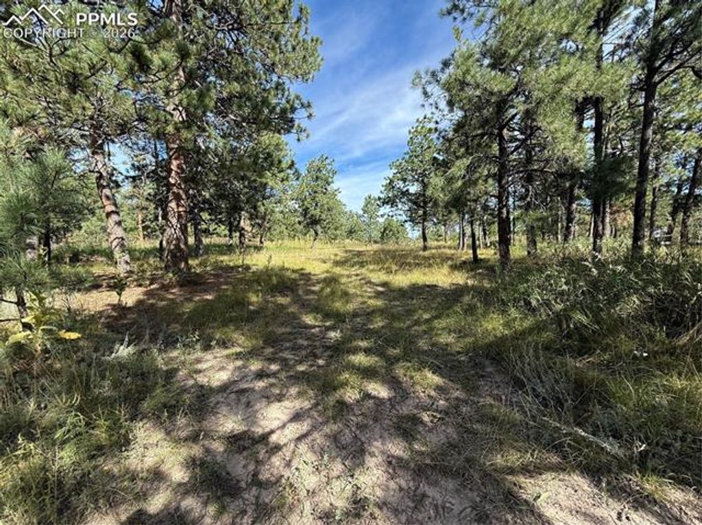 17405 E Goshawk Road, Colorado Springs, CO 80908 — photo 2