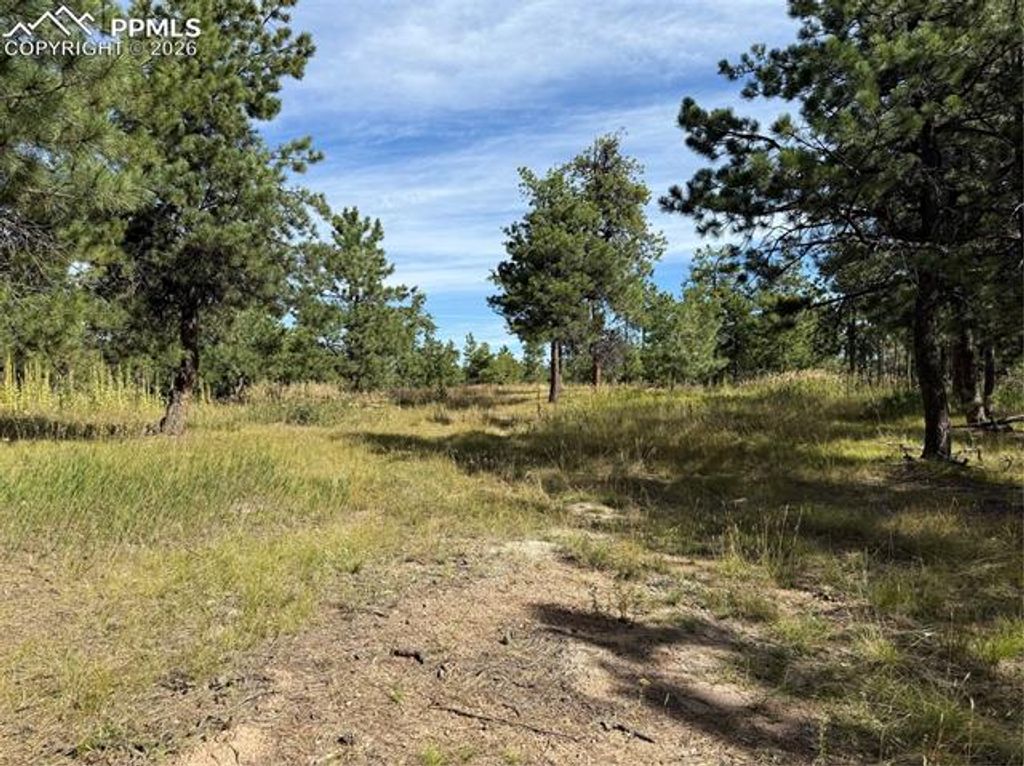 17405 E Goshawk Road, Colorado Springs, CO 80908 — photo 3