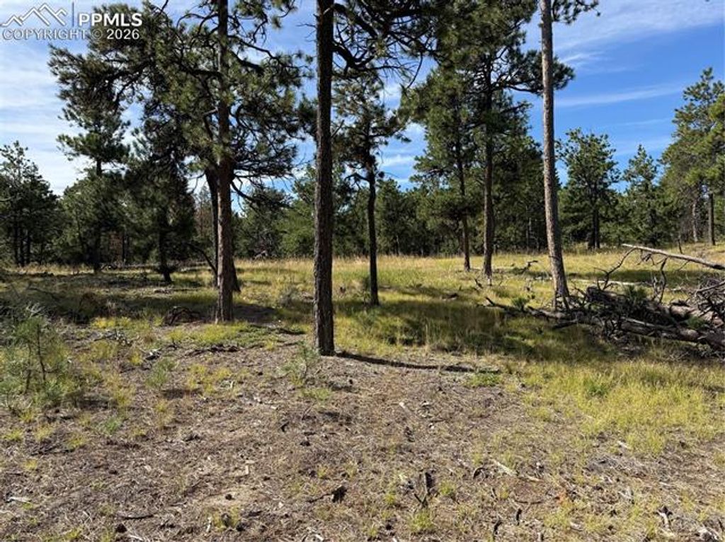 17405 E Goshawk Road, Colorado Springs, CO 80908 — photo 4
