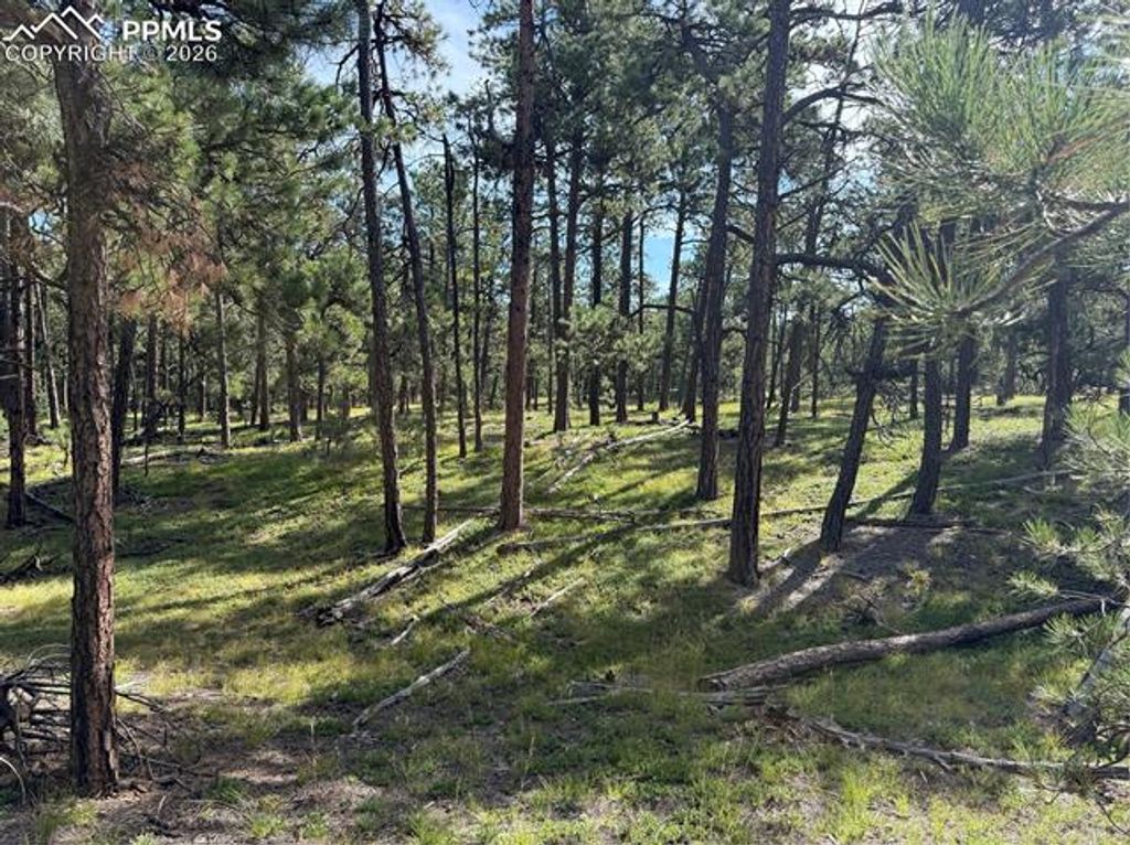 17405 E Goshawk Road, Colorado Springs, CO 80908 — photo 5