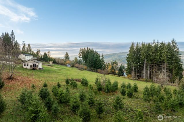 3900 NE 425th Street, Woodland, WA 98674