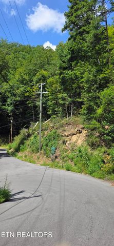 1 Black Walnut Flats Rd, Sevierville, TN 37862