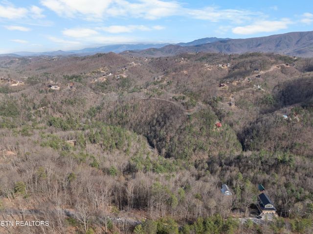 1 Black Walnut Flats Rd, Sevierville, TN 37862