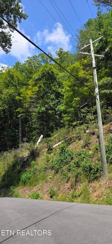 1 Black Walnut Flats Rd, Sevierville, TN 37862