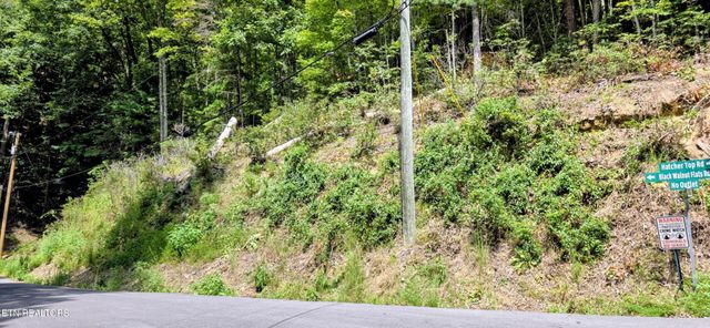 1 Black Walnut Flats Rd, Sevierville, TN 37862