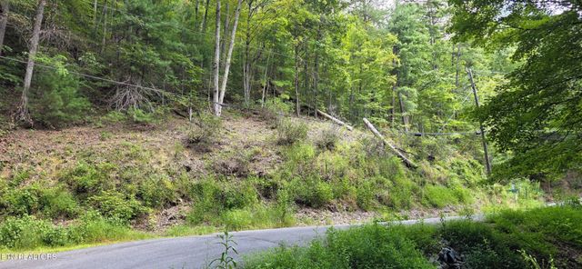 1 Black Walnut Flats Rd, Sevierville, TN 37862