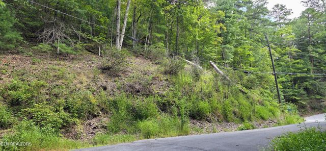 1 Black Walnut Flats Rd, Sevierville, TN 37862
