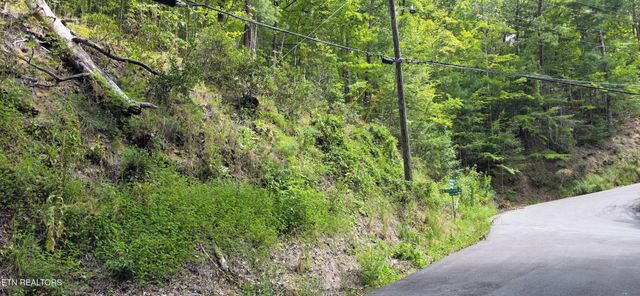 1 Black Walnut Flats Rd, Sevierville, TN 37862