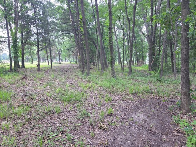 Lot 618 Spur 294, Corsicana, TX 75109