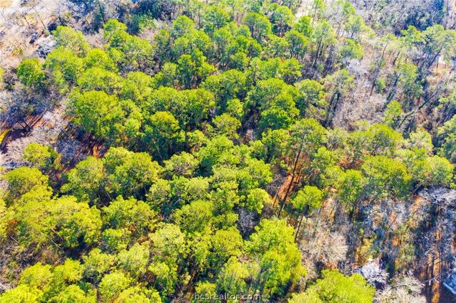 Lot 30 Cedar Court, Trinity, TX 75862
