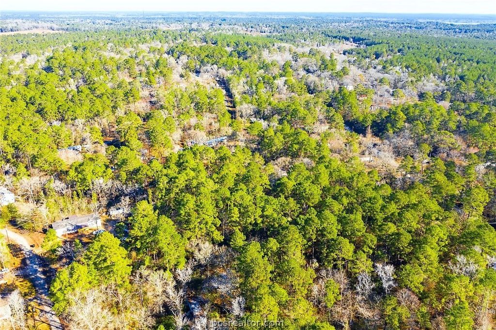 Lot 30 Cedar Court, Trinity, TX 75862