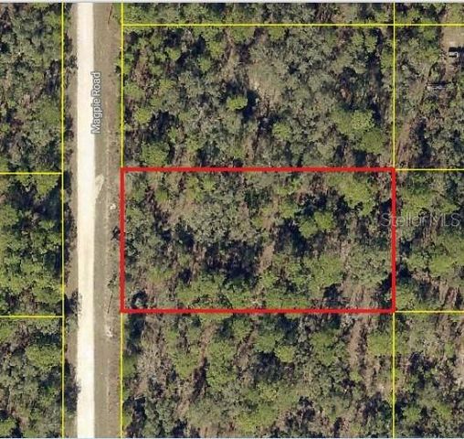 16026 MAGPIE ROAD, Weeki Wachee, FL 34614