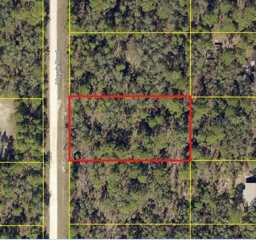 16026 MAGPIE ROAD, Weeki Wachee, FL 34614