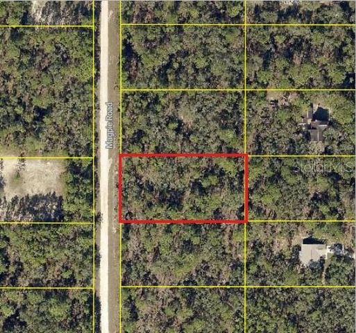 16026 MAGPIE ROAD, Weeki Wachee, FL 34614