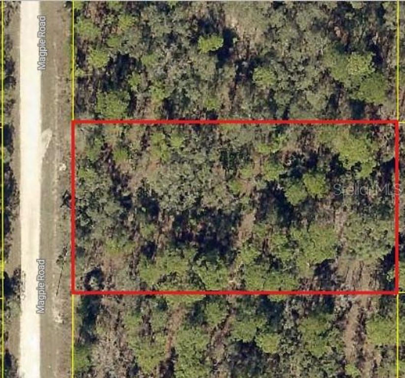 16026 MAGPIE ROAD, Weeki Wachee, FL 34614