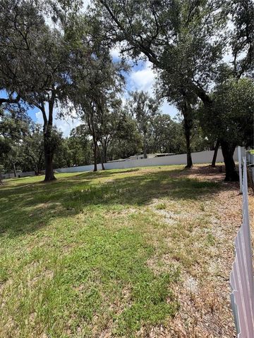 11310 BRIGHTRIDGE DRIVE, Seffner, FL 33584