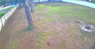 11310 BRIGHTRIDGE DRIVE, Seffner, FL 33584