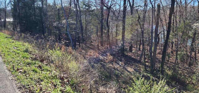 TBD Isleta Drive, Cherokee Village, AR 72529