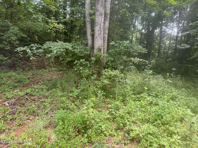 12,13 Camp Creek Estates Drive, Murphy, NC 28906