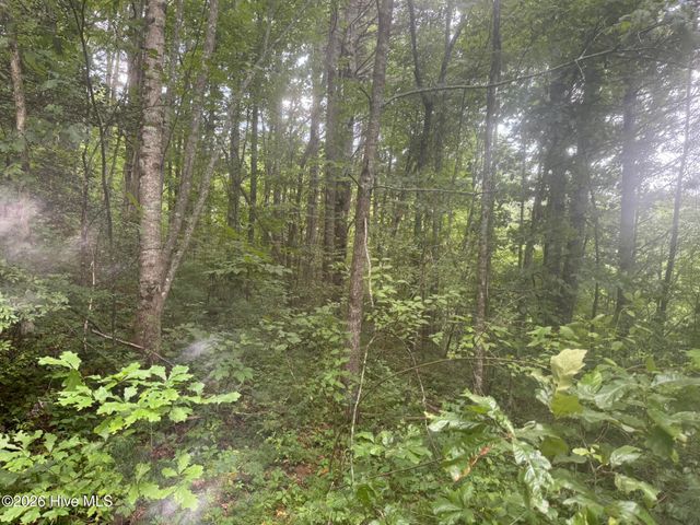 12,13 Camp Creek Estates Drive, Murphy, NC 28906