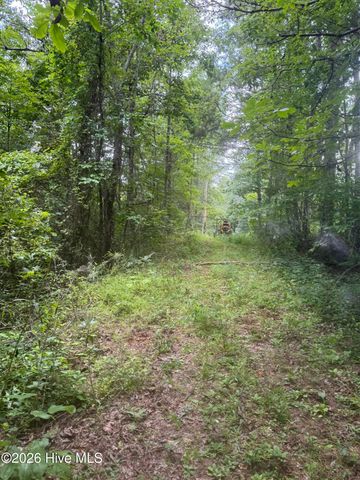 12,13 Camp Creek Estates Drive, Murphy, NC 28906