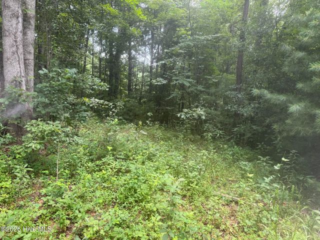 12,13 Camp Creek Estates Drive, Murphy, NC 28906