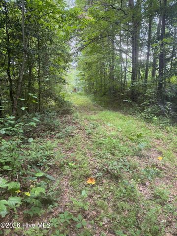 12,13 Camp Creek Estates Drive, Murphy, NC 28906