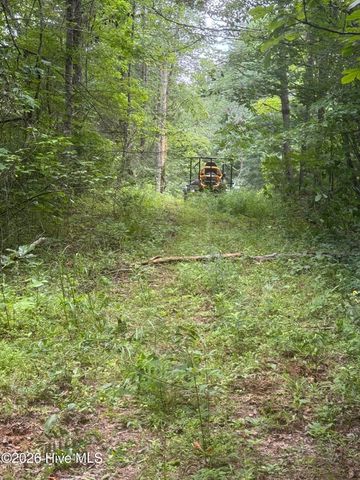 12,13 Camp Creek Estates Drive, Murphy, NC 28906