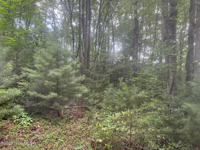 12,13 Camp Creek Estates Drive, Murphy, NC 28906