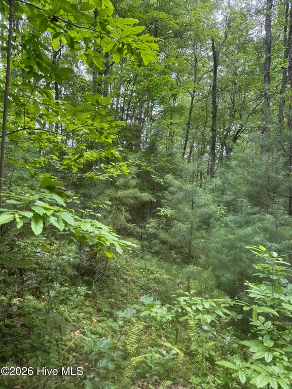 12,13 Camp Creek Estates Drive, Murphy, NC 28906