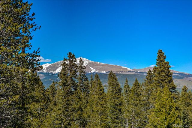 258 Gold Trail Cutoff, Fairplay, CO 80440