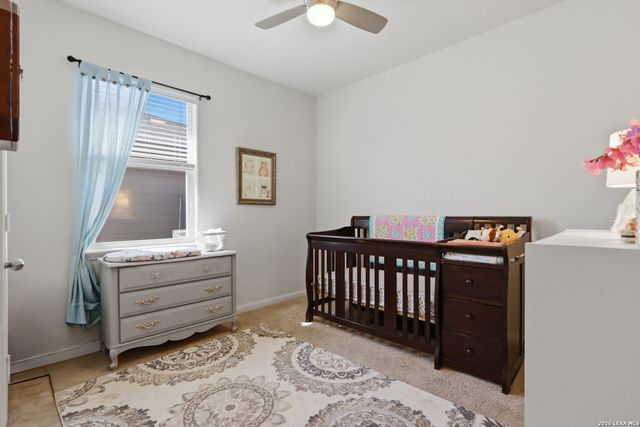 11647 Luckey Ledge, San Antonio, TX 78252