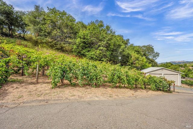 1389 Canyon Rd, Geyserville, CA 95441