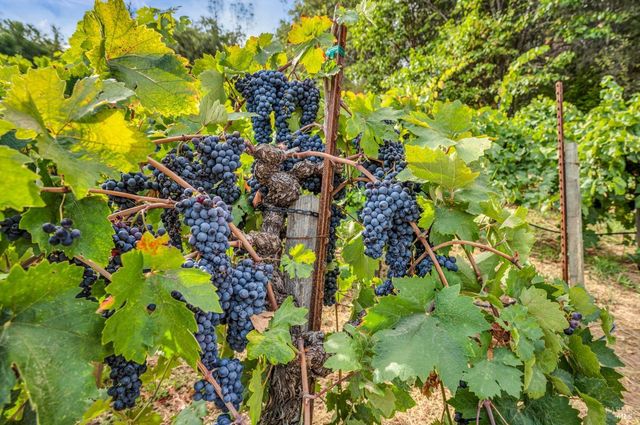 1389 Canyon Rd, Geyserville, CA 95441