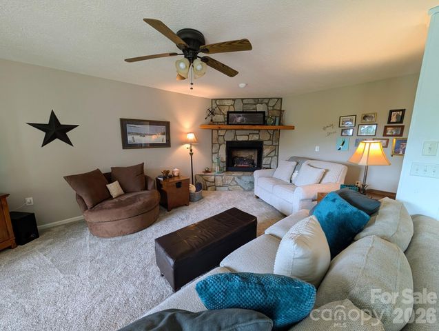 96 Buckeye Branch Drive, Clyde, NC 28721
