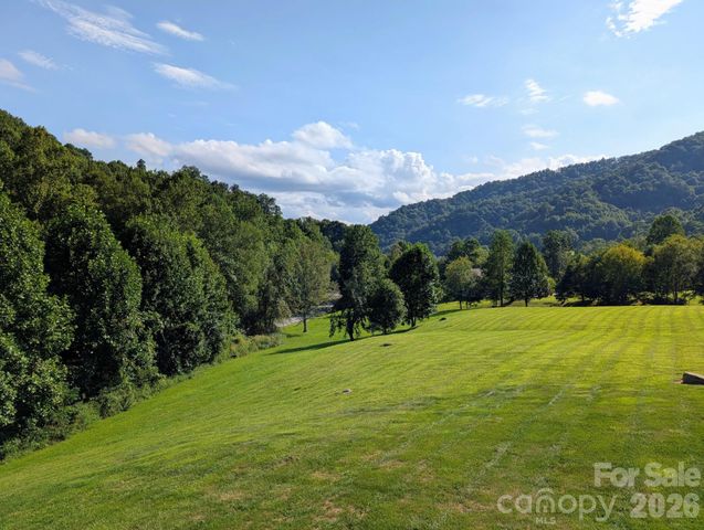 96 Buckeye Branch Drive, Clyde, NC 28721