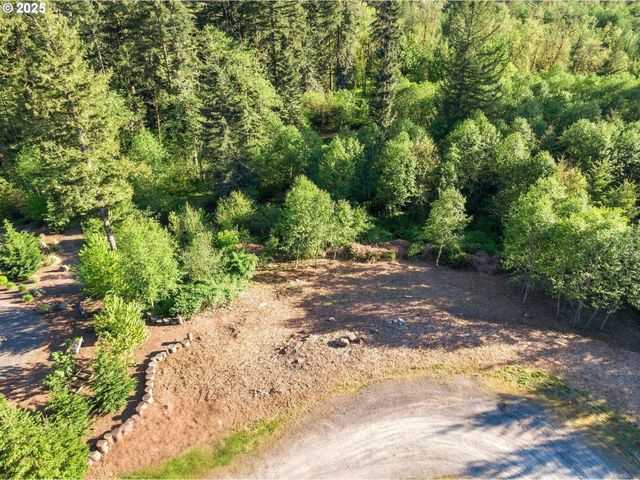 Thompson Dr Lot #3, Washougal, WA 98671