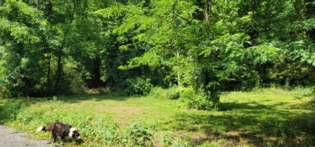 0 Greenfield Estates Drive, Culleoka, TN 38451