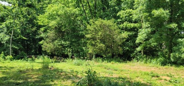 0 Greenfield Estates Drive, Culleoka, TN 38451