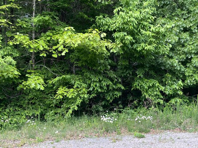 0 Greenfield Estates Drive, Culleoka, TN 38451