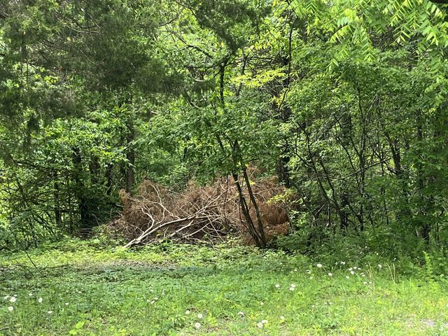 0 Greenfield Estates Drive, Culleoka, TN 38451