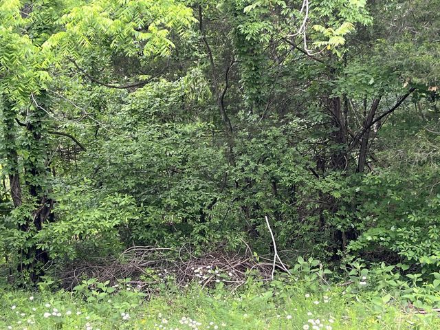0 Greenfield Estates Drive, Culleoka, TN 38451