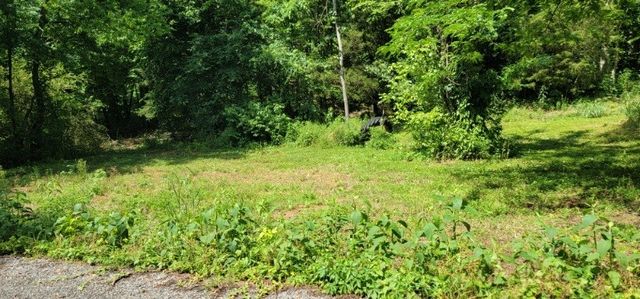 0 Greenfield Estates Drive, Culleoka, TN 38451