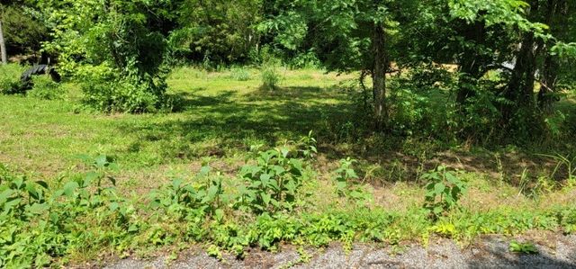 0 Greenfield Estates Drive, Culleoka, TN 38451