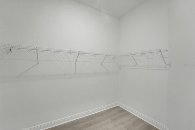 14371 CREST PALM AVENUE, Windermere, FL 34786