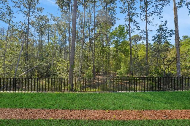 14371 CREST PALM AVENUE, Windermere, FL 34786