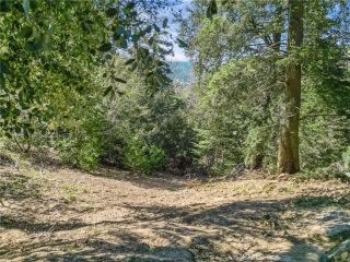 0 Chateau, Crestline, CA 92325