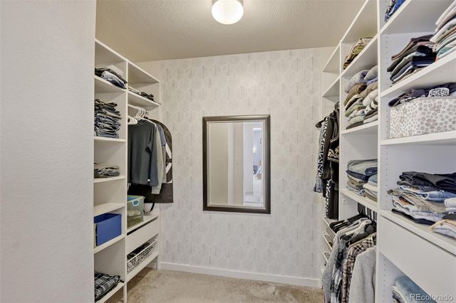 10890 Touchstone Loop, Parker, CO 80134