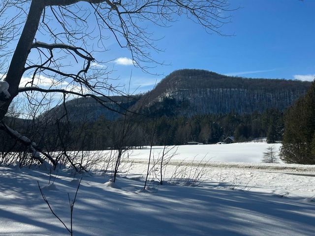 9 Dry Pond Road, Glover, VT 05839